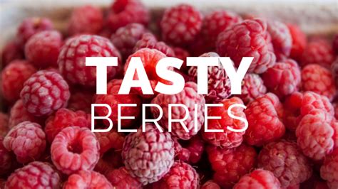 Tasty Berries that Lower Blood Sugar Naturally - Dr. Keith Scott-Mumby