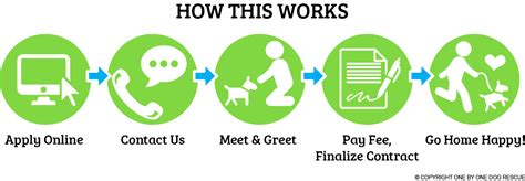 Our Adoption Process & Fees – One By One Dog Rescue