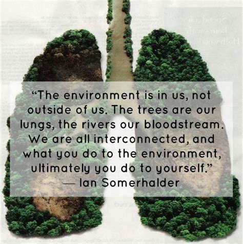 Quotes about Environmental activism (35 quotes)