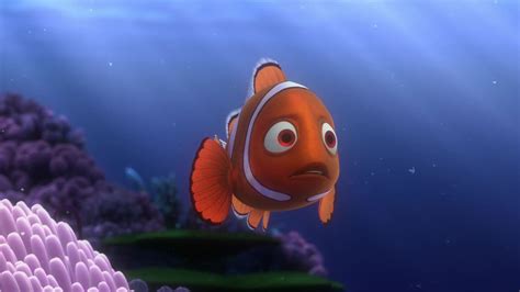 Why Nemo's Mom is the Most Important Character in the Movie | No Film ...