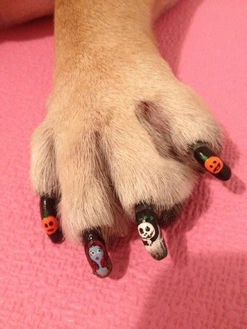 15 Awesome Dog Nail Polish Ideas for Your Puppy