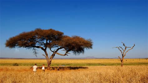 Tarangire National Park | Safaris and Expeditions