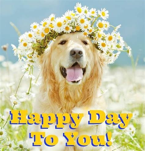 Happy Day To You Pictures, Photos, and Images for Facebook, Tumblr, Pinterest, and Twitter