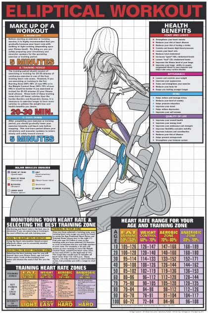 Elliptical Workout Poster - Laminated #cardiomachines | Elliptical workout, Elliptical cross ...