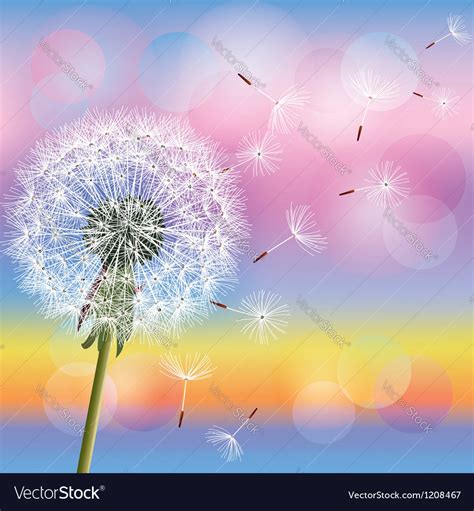 Dandelion on background of sunset Royalty Free Vector Image