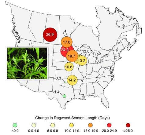 Ragweed pollen season length has increased in central North America ...