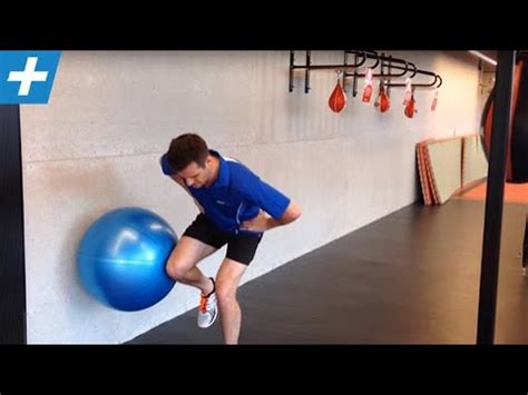 10 BEST KNEE/VMO STRENGTHENING EXERCISES | FunnyCat.TV