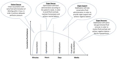 Fluid Resuscitation in Sepsis | Encyclopedia MDPI