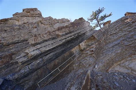 Dinosaur Ridge - GO HIKE COLORADO