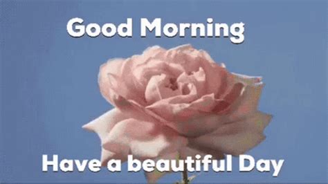 Good Morning Roses GIF - GoodMorning Roses White - Discover & Share GIFs