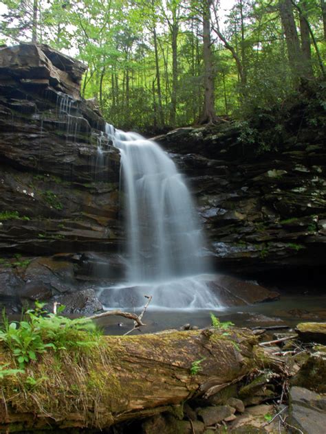 Monongahela National Forest, a West Virginia National Forest