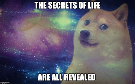 Space Doge - Imgflip