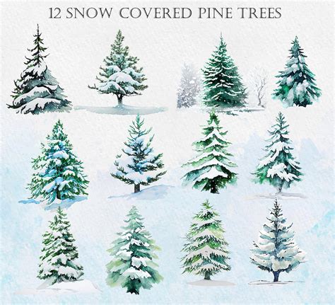 Winter Snow Pine Trees Woods Watercolor graphic Botanical - Etsy