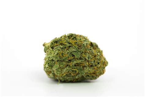 AK-48 Strain of Marijuana | Weed | Cannabis | Herb | Herb