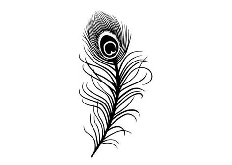 Peacock Feather | Feather tattoo black, Peacock feather tattoo, Feather tattoo design