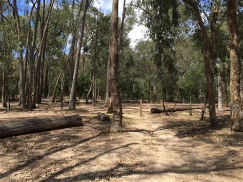 Lakeside Camping Area - Lake Eildon National Park Campsites for ...