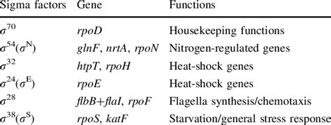 E. coli sigma factors with their genes and functions are listed below [39] | Download Scientific ...