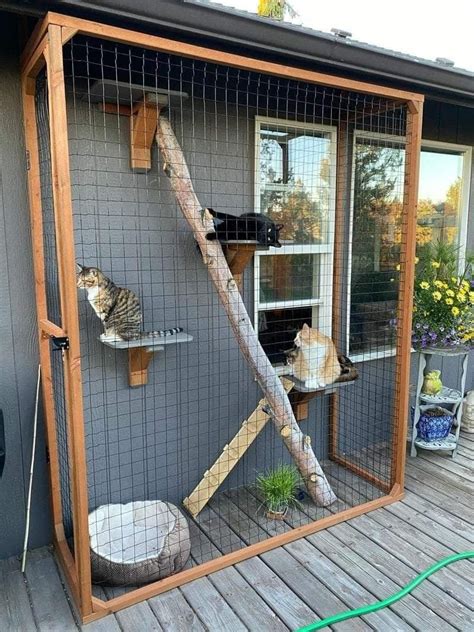 Animal Room, Outdoor Cat Enclosure, Diy Cat Enclosure, Diy Cat Tree ...