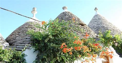 Alberobello: History Walking Tour | GetYourGuide