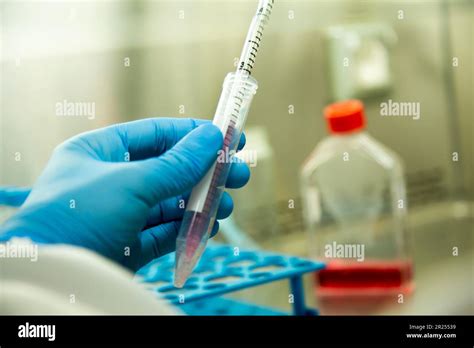 cell culture media Stock Photo - Alamy