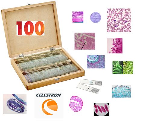 44412:Celestron Prepared Microscope Slides 100 Piece Set