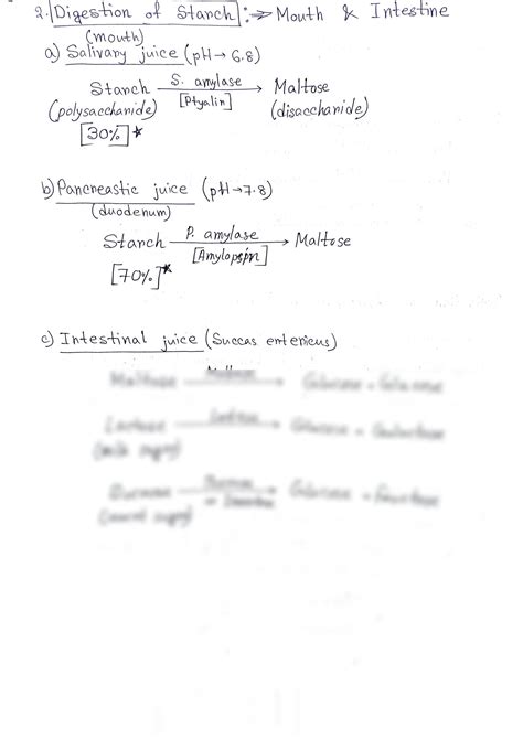 SOLUTION: Digestion and absorption process - Studypool