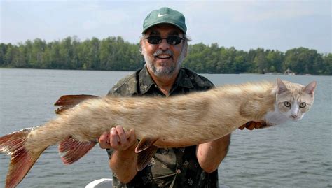 42 inch catfish -- yeah, finally caught the big one.. | Flickr