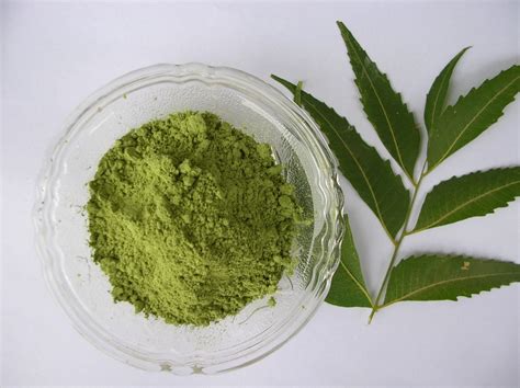 Neem Leaves Powder - Apex International