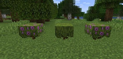 Azalea in Minecraft 1.17 update: Everything players need to know