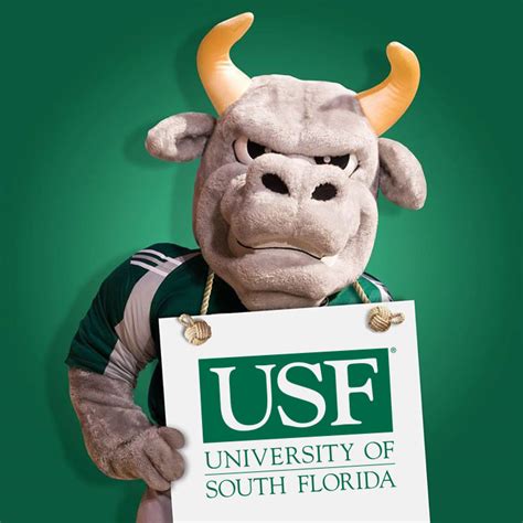 USF Life