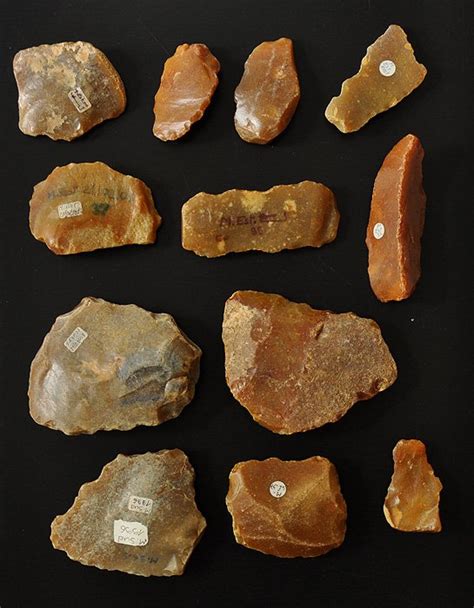 Collection Neanderthal tools from the Paleolithicum (Mousterian) 200.000 - 40.000 BC.- 52-105 mm ...