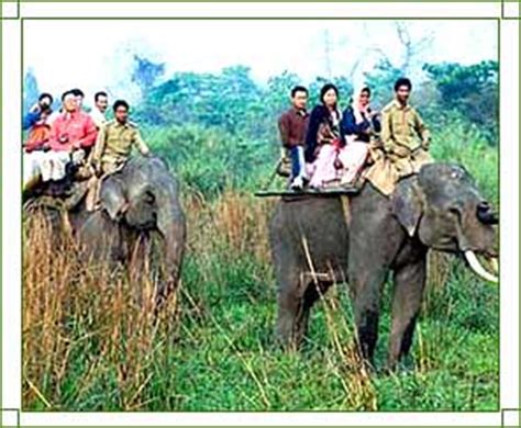 Assam Tourist Guides - Tourist Guides In Assam, Tourist Guides Assam India