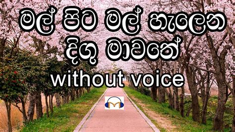 Mal Pita Mal Karaoke (without voice) මල් පිට මල් හැලෙන දිගු මාවතේ ...