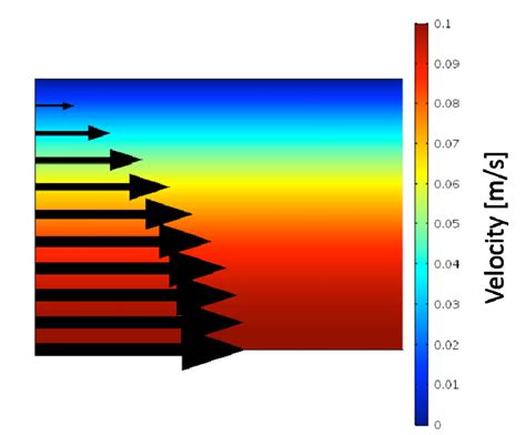 Velocity profile of the imposed laminar flow with profile arrows. The... | Download Scientific ...