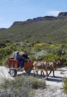 Cederberg Heritage Route - Cederberg. We offer three- or four- night ...