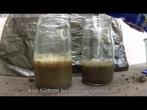 How to determine is your soil alkaline or acidic? - YouTube