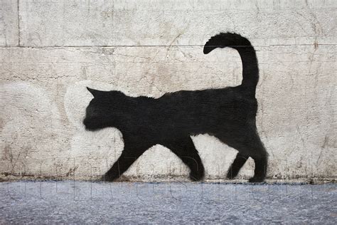 Black Cat Banksy Graffiti Spray Painting Stenciling Technique | Etsy