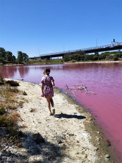 Westgate Park Pink Lake: Mother nature's yearly gift to Melbourne