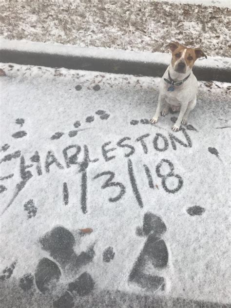 Charleston Snow Storm Photo Gallery (1/3/18) | Holy City Sinner