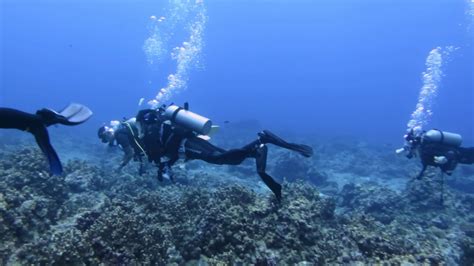 ~Diving at Saipan~2016.09 サイパンダイビング - YouTube