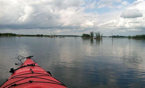 DNR mulls no-boating zone on Swan Lake | News | mankatofreepress.com