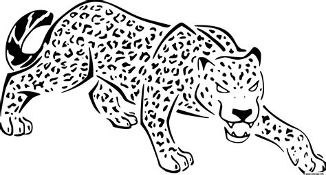 Coloriage jaguar felin panthera de la jungle - JeColorie.com