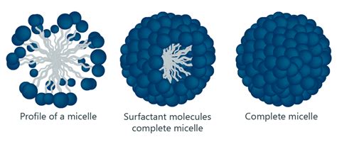 Mizelle | KRÜSS Scientific