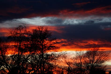 Sunset with Winter Trees – Photos Public Domain