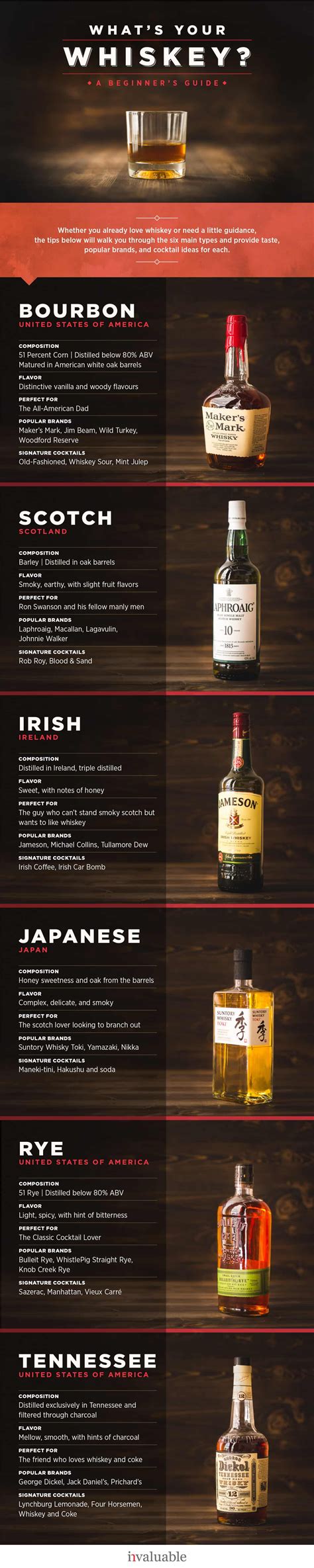 The Beginner’s Guide to Types of Whiskey | Daily Infographic in 2023 ...