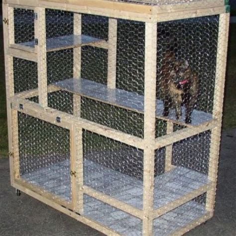 1000+ images about Cat Cages on Pinterest | Kitty, For cats and Fencing