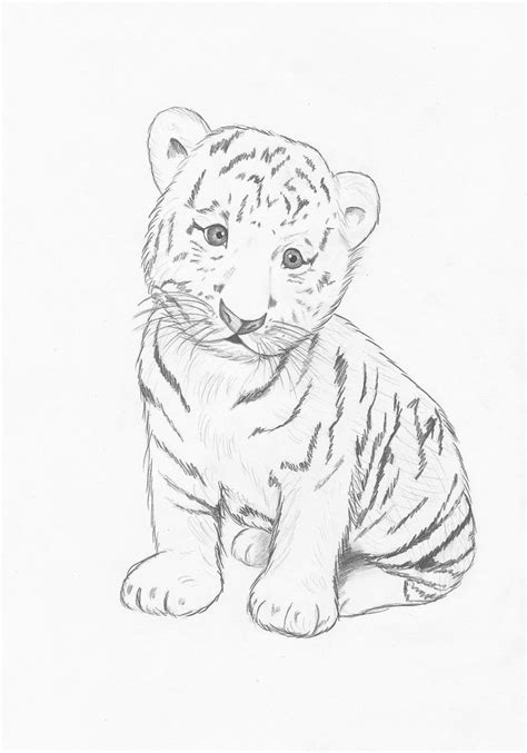 Tiger cub by MarieMaillard on DeviantArt