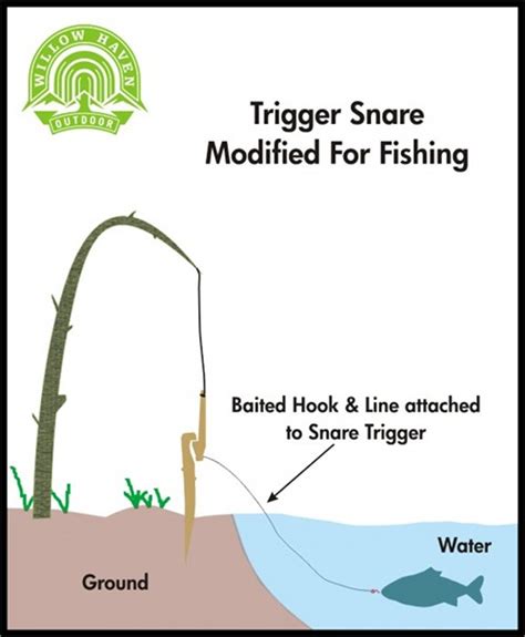 Spring Snare Trap Diagram - Wiring Diagram Pictures