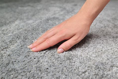 5 Disadvantages of Carpet in the Bedroom – From The Forest, LLC