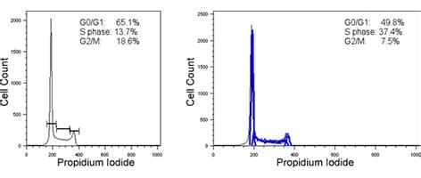 Cell Cycle Analysis - astonishingceiyrs